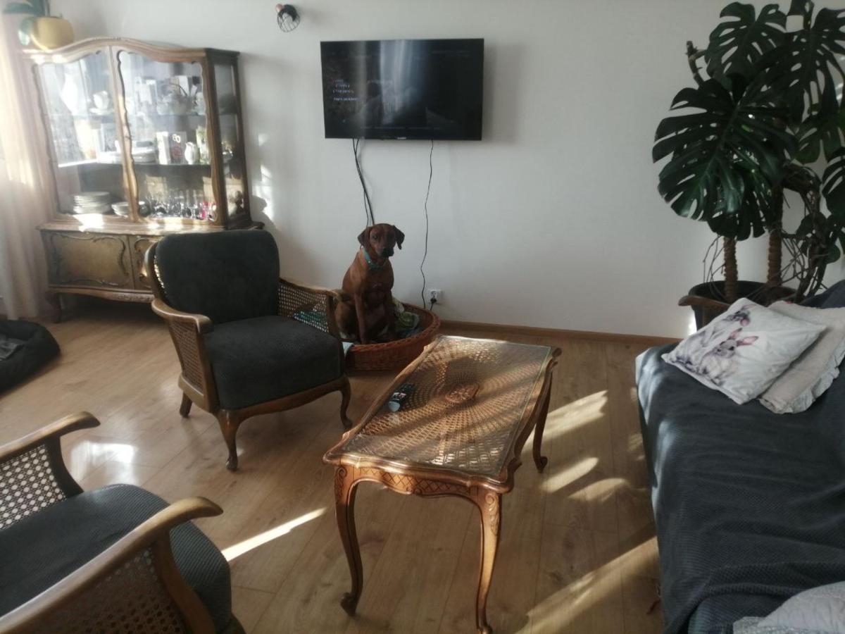 Husarska Swinemuende Esterno foto